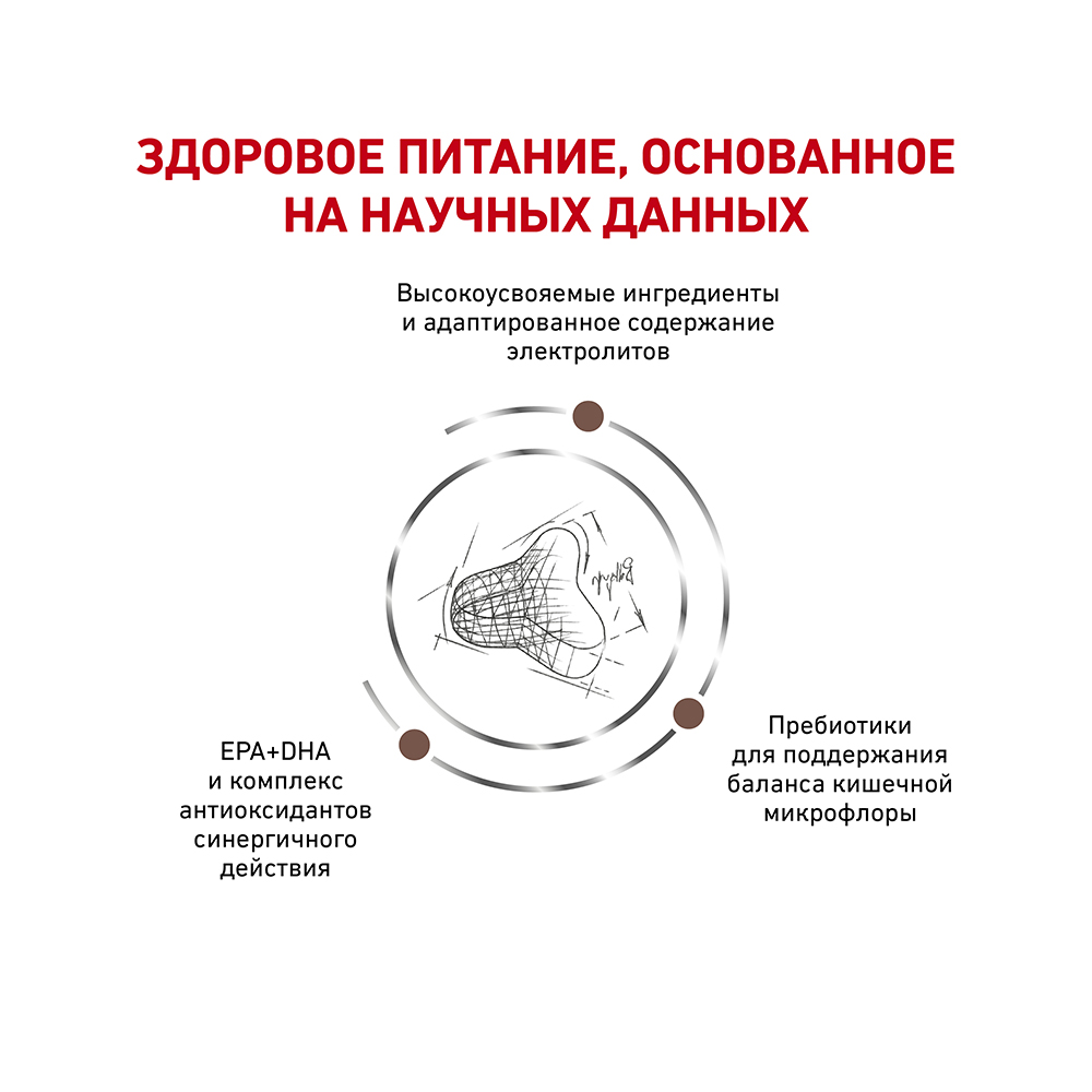 УТ0009092 Корм для кошек Vet Diet Fibre Response FR31 при нарушении пищеварения, птица сух. 400г ROYAL CANIN  - Вид №3
