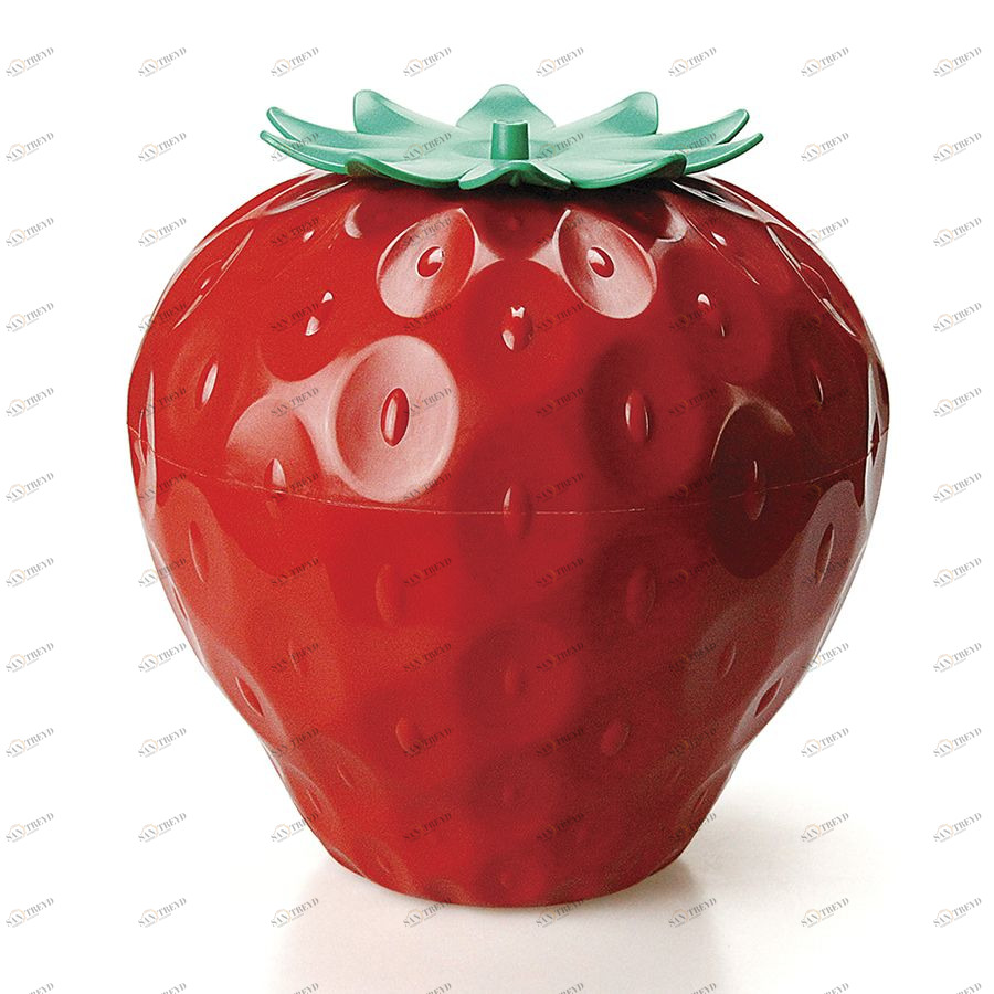 Контейнер для хранения Storeberry с крышкой Qualy QL10243RD