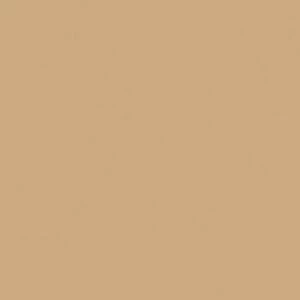 Керамогранит Rainbow RW 15 40x40 Полированный