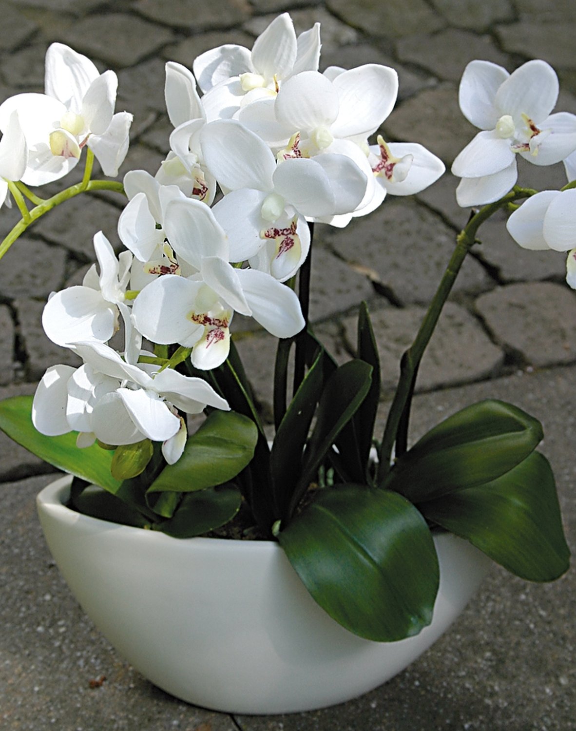 2609 777 a3 Пластиковая орхидея Phalaenopsis, 3-х кратная, в чаше, 38 см, real touch, белая H-andreas  - Вид №3