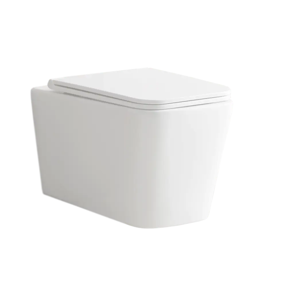 Подвесной унитаз Alcora Tormenta с микролифтом и безободковым дизайном 89360844 STLM-0999515