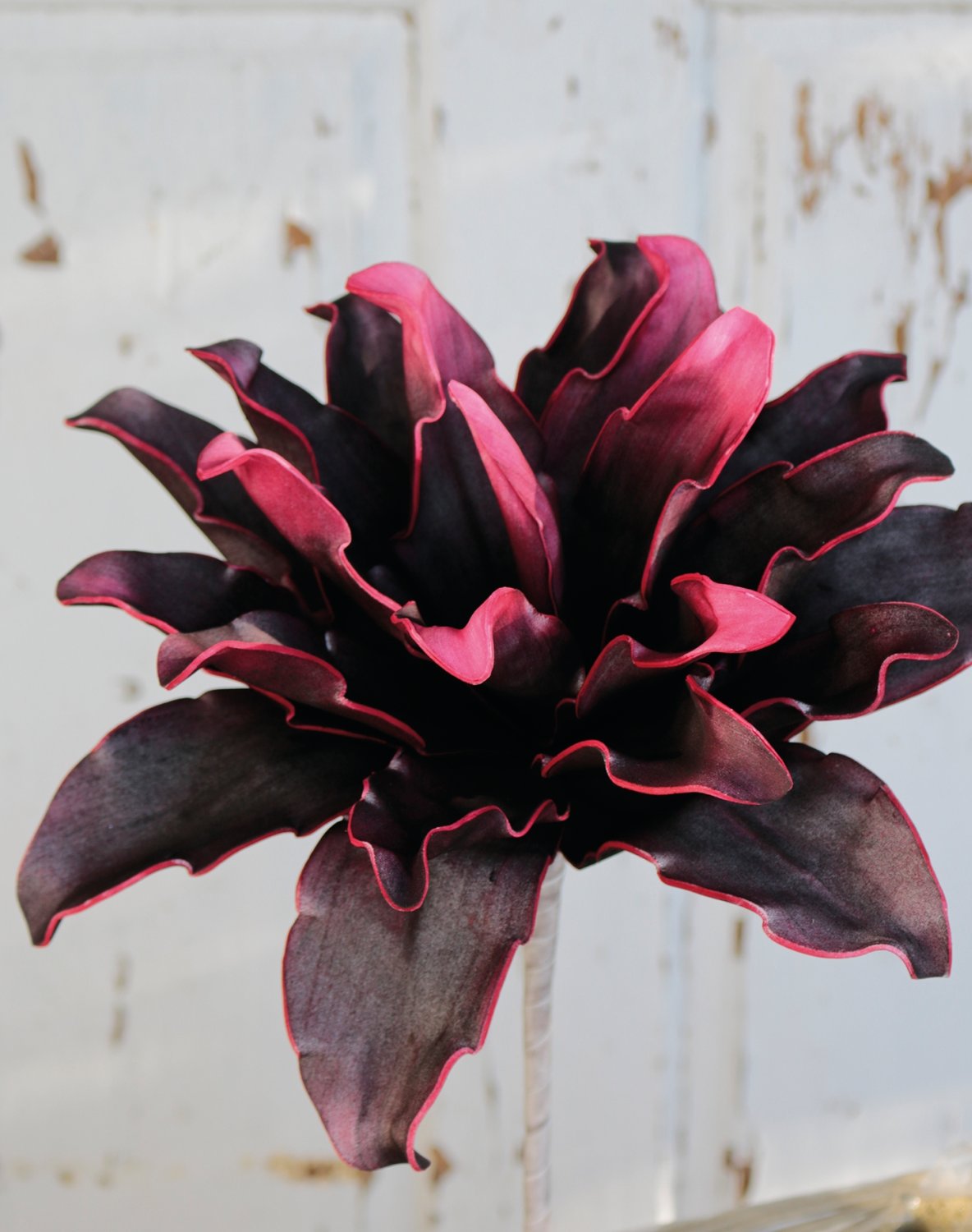 7898 490 a3 Искусственный мягкий цветок 'протея', 38 см, красно-черный H-andreas  - Вид №5
