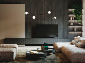 Оборудованная стена с двумя каминами