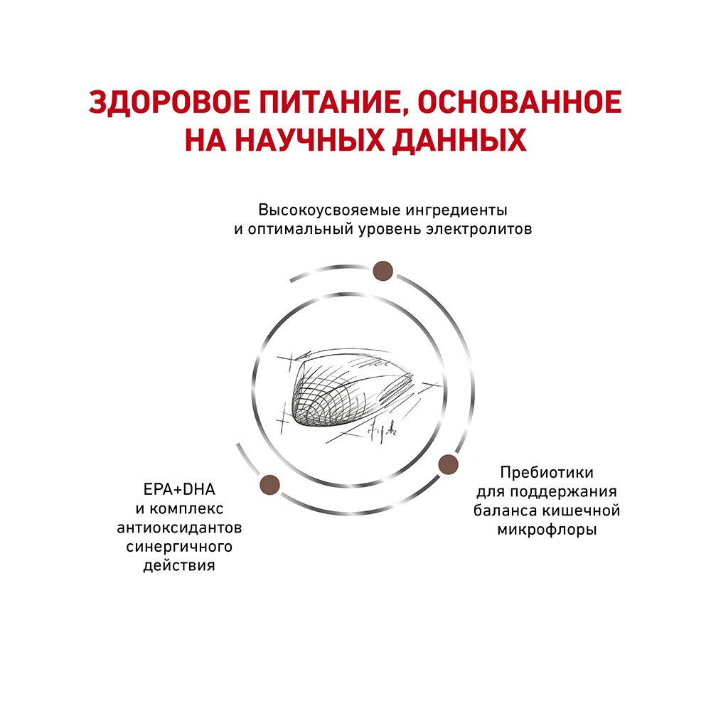 Т0055111 Корм для кошек Vet Diet Gastro Intestinal GI32 при нарушении пищеварения, птица сух. 2кг ROYAL CANIN  - Вид №3