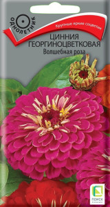 86218005 Семена цветов Поиск цинния георгиноцветковая Волшебная роза STLM-0066953 Santreyd