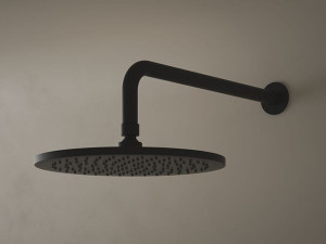 Настенная душевая головка