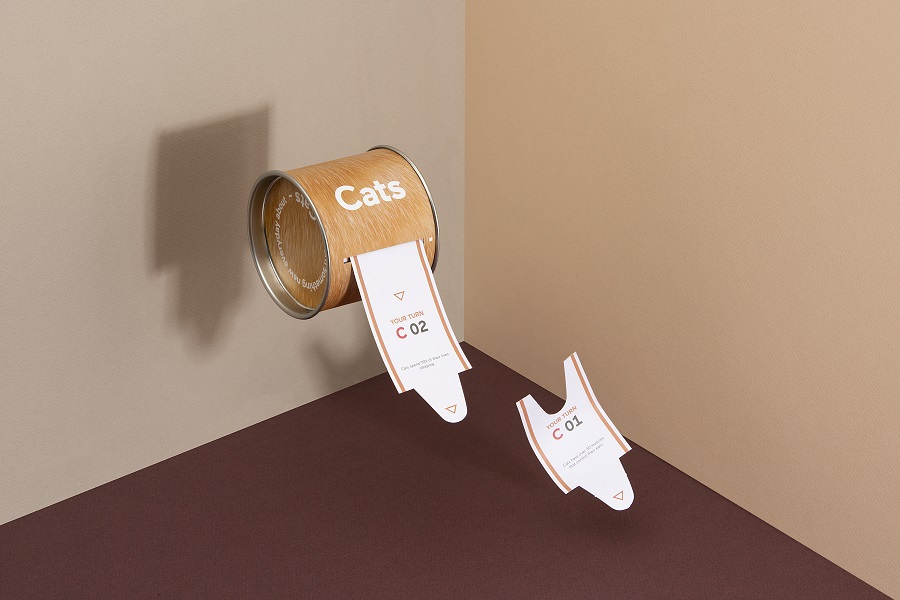 DYNEWCAEN Набор «Узнай что-то новое о кошках» Doiy  - Вид №2