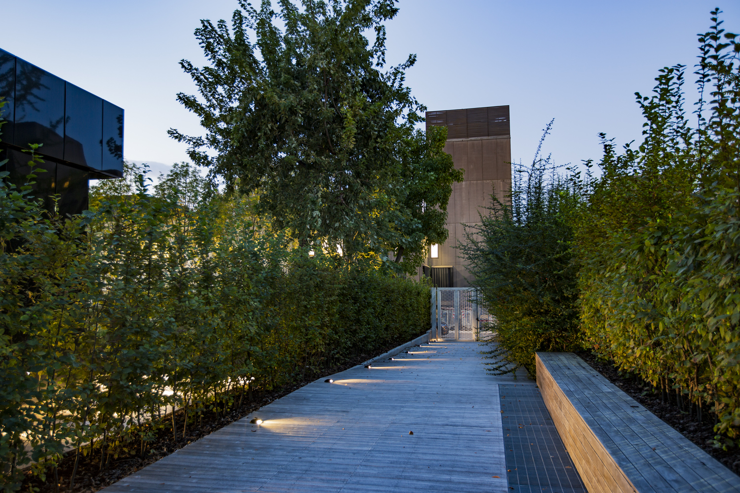 8409816 Настольный встаеваемый светильник Platek MINI Luce radente  MINI Roll Over - LED 3000K 4 Openings  - Вид №5