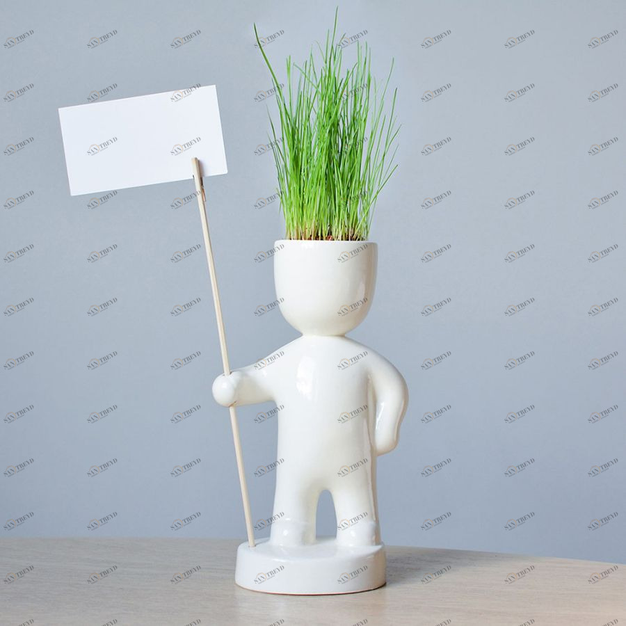 Набор для выращивания Eco Знаменосец ЭКОЧЕЛОВЕКИ ЕСO117