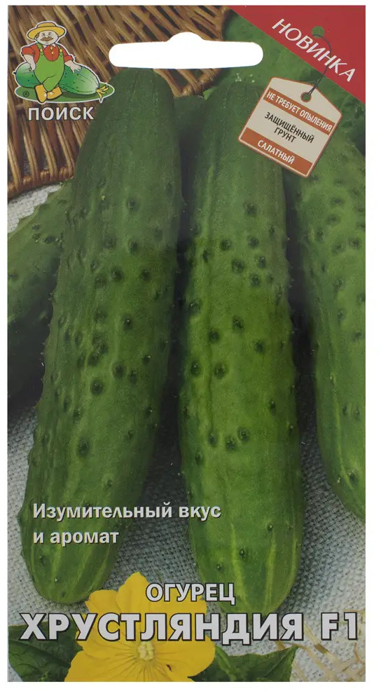 Семена огурцов ПОИСК «Хрустляндия» F1 - ранний партенокарпический гибрид 18356451