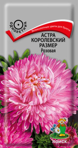 86217904 Семена цветов Поиск астра Королевский размер розовый STLM-0066898 Santreyd