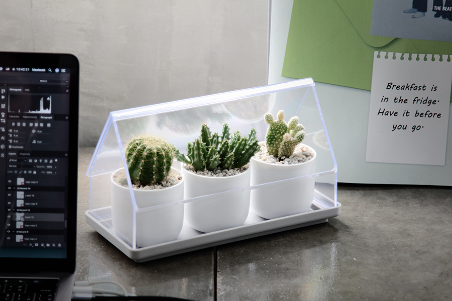 Лоток для выращивания растений Micro Green House прозрачный Qualy QL10310CLGN - Вид №6