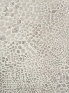 Ковер Ivory 64227i6575 240x330 DOLLY CAPRETS ДИЗАЙНЕРСКИЕ 155329 Серый;коричневый