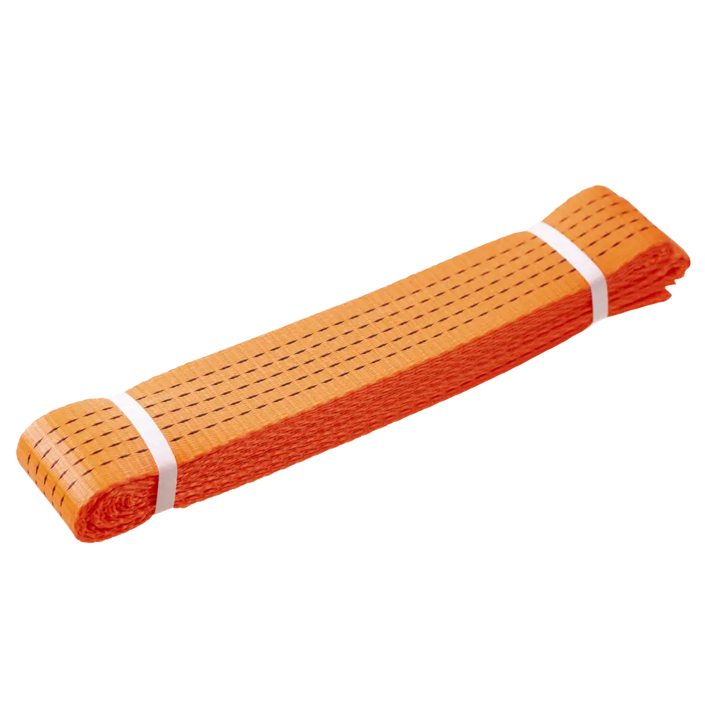 Santreyd Такелажный ремень для безопасного перемещения грузов 89096666 STLM-0078362