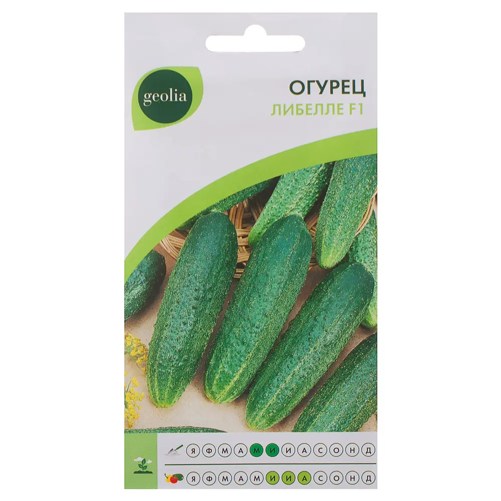 Семена огурца Geolia Либелле F1 - ранний урожай для засолки 17584858 STLM-0008329