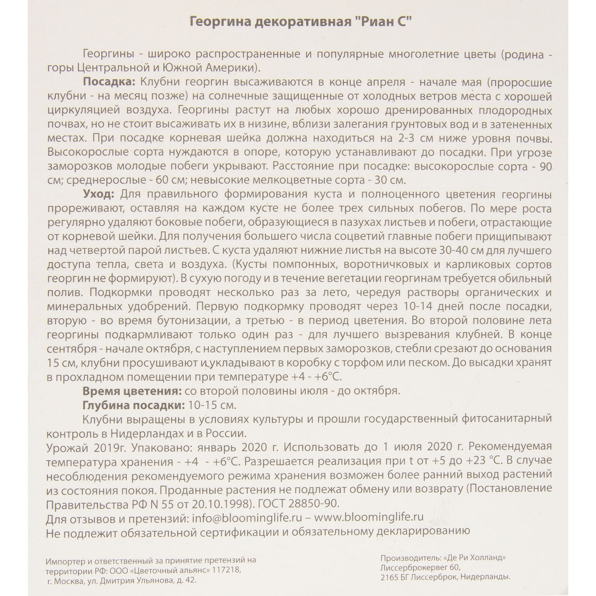 81945855 Георгина декоративная «Риан С» Santreyd  - Вид №2