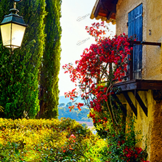 C1-272 Фотообои DIVINO Collection C 2.7х1 м C1272