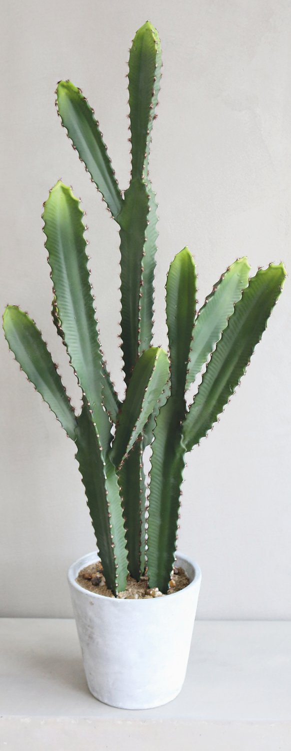 6060 883 a3 Кактус имитация столбика, горшок, 64 см, зеленый H-andreas  - Вид №3
