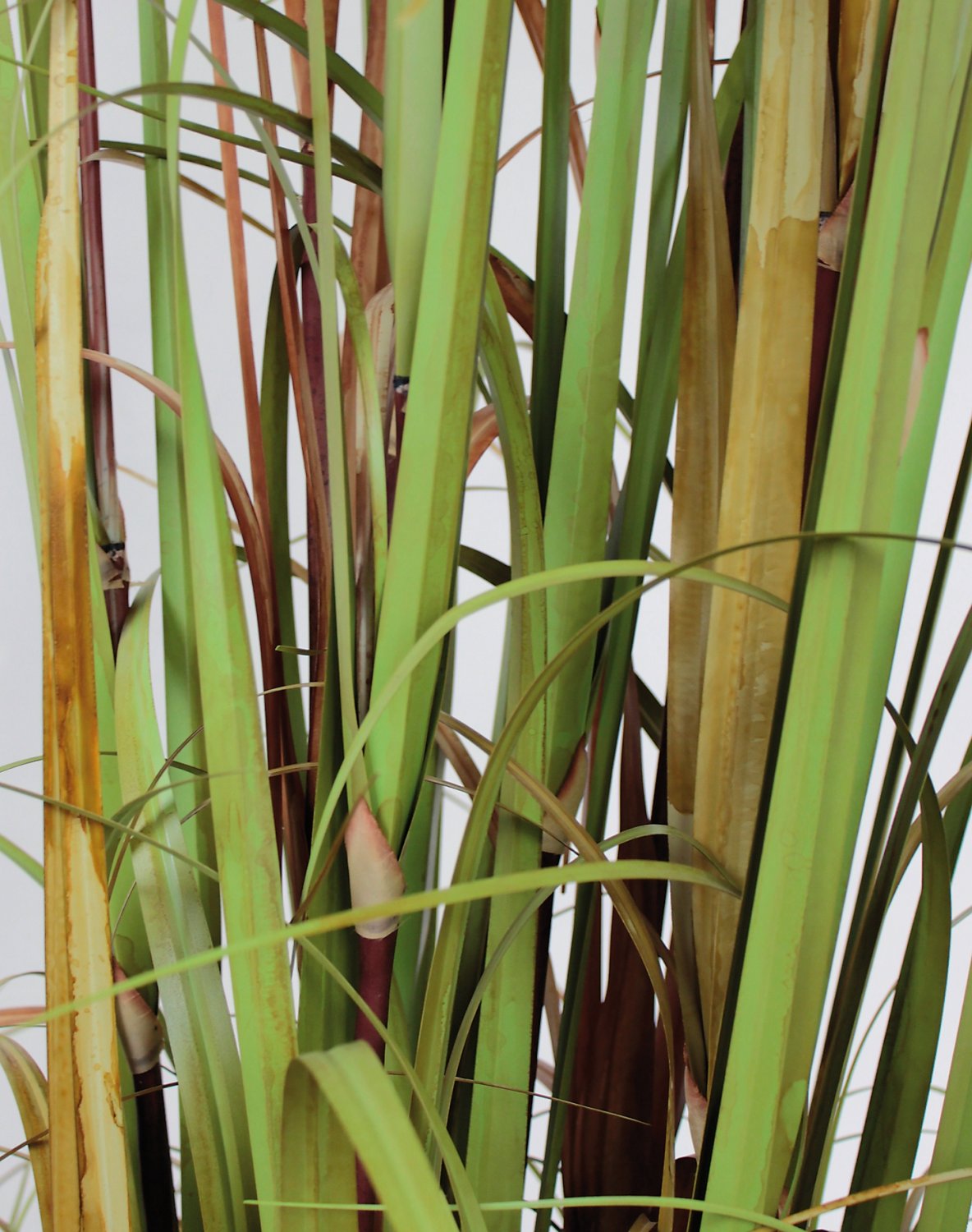 4569 860 a3 Трава искусственная пампас, горшечная, 180 см, зелено-коричневая H-andreas  - Вид №2