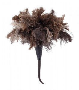 468801 Страусиная лапка Бюрстенвельт