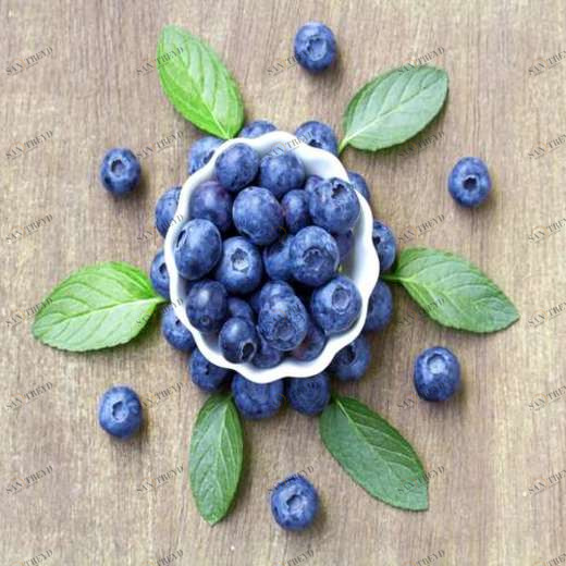 WP01146 Фотообои Verol Фотообои decoline 1х1 м