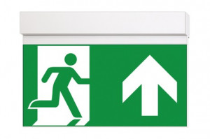 DST-3664 Ikus 320-t Daisalux Светильники и спец. Белый