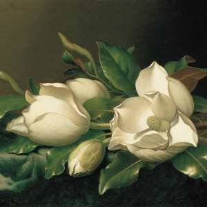 0239/CX38 Картина 0239 Adriani e Rossi