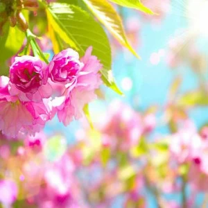 WP00706 Фотообои Verol Фотообои decoline 1х1 м