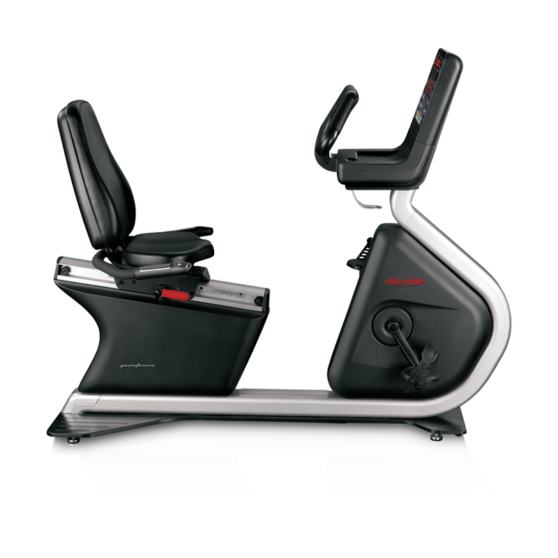 TOUCH-ДИСПЛЕЕМ Велотренажер panatta pininfarina horizontal bike new gold с touch-дисплеем Panatta 