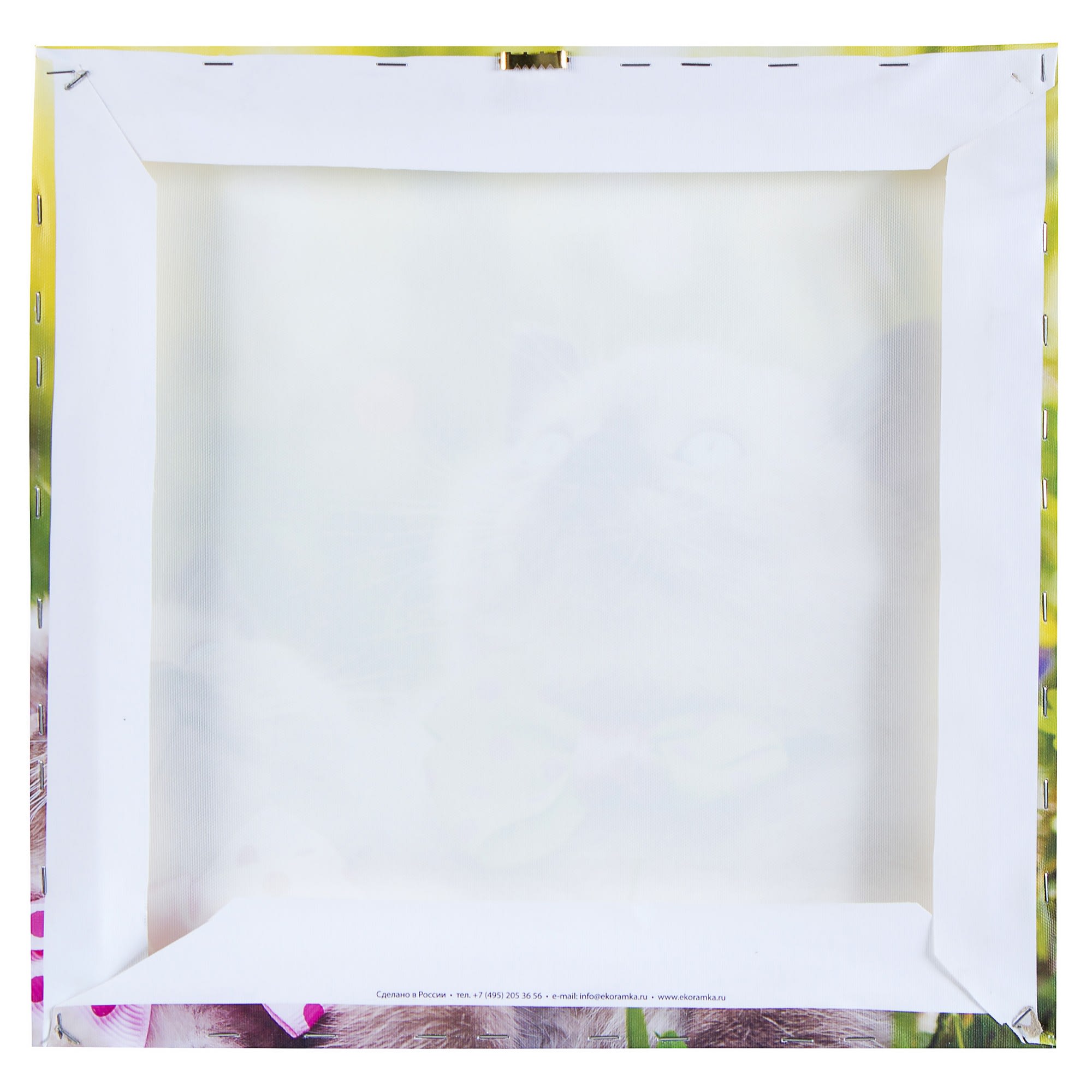 17981685 Картина на холсте «Два котёнка в бабочках» 40х40 см Santreyd  - Вид №2