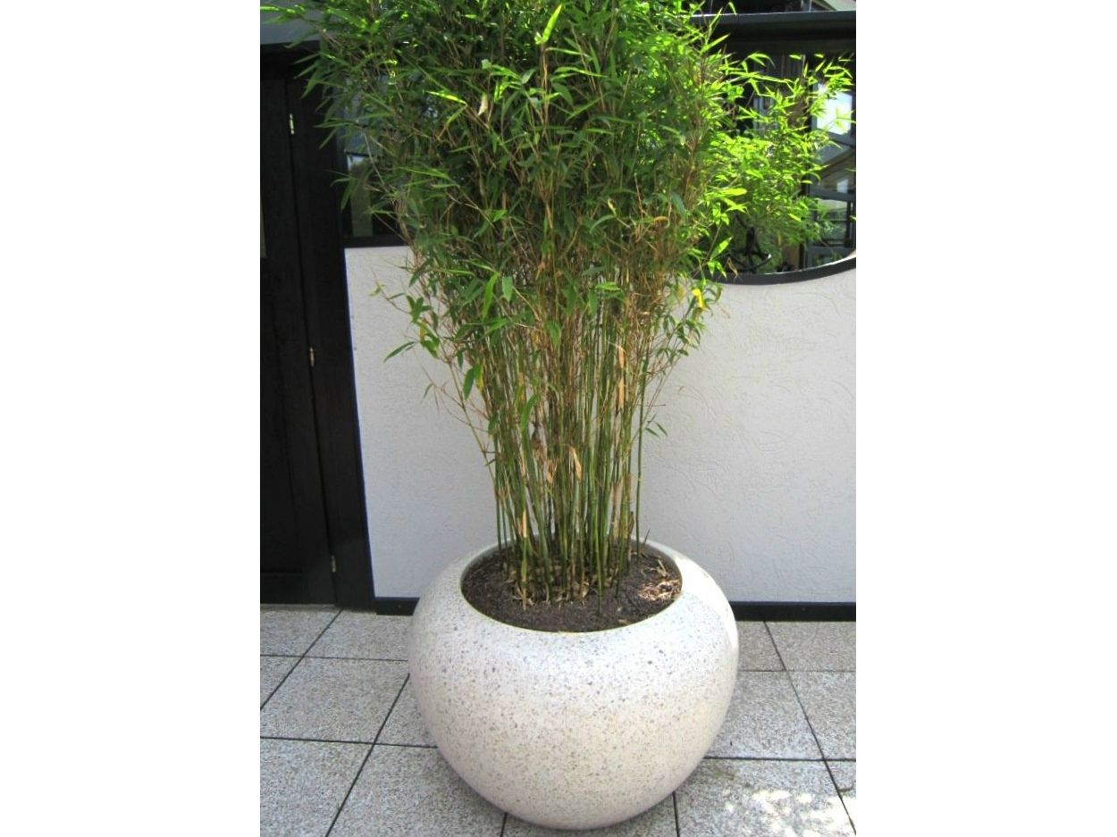 Вазон Bellitalia LUNA ARCH-00081370 - Вид №7