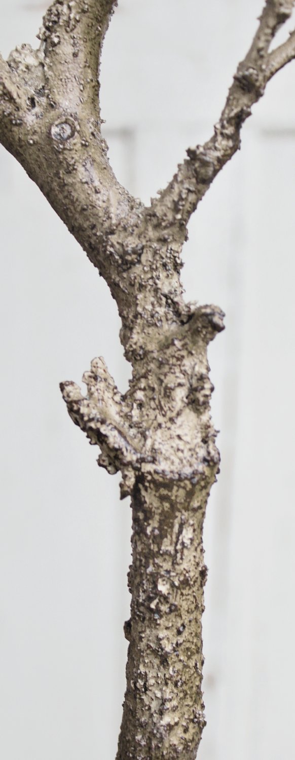 5351 666 a3 Пластиковая ветка, 120 см, коричневая H-andreas 