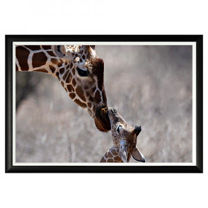 896523217_1818 Арт-постер «Первый поцелуй» Object Desire