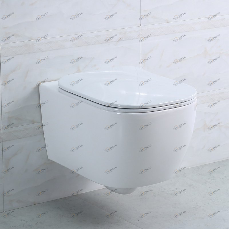 Унитаз подвесной безободковый BelBagno GENOVA Подвесной унитаз настенный Белый BELBAGNO GENOVA Китай