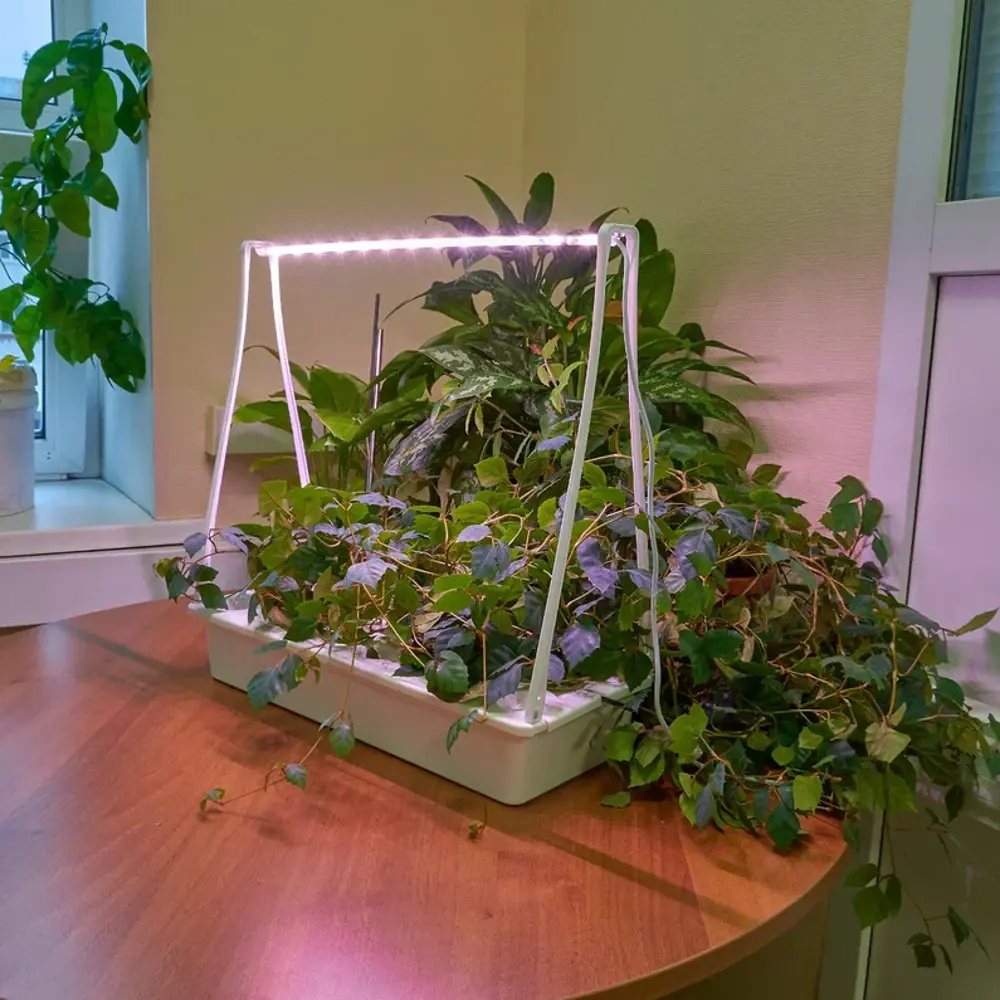 Фитосветильник Minigarden Фито Лето ULT-P44N-10W/SPLE 540 мм 10 Вт розовый свет Santreyd STLM-2092161 - Вид №23
