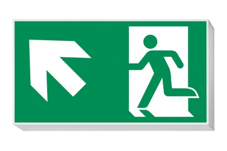 DST-560 Lisu Daisalux Светильники аварийные Серебристо-Серый 