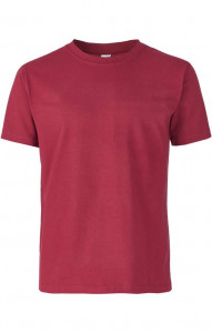 4958283 Футболка бордовая  Одежда для официантов  размер L (48-50)