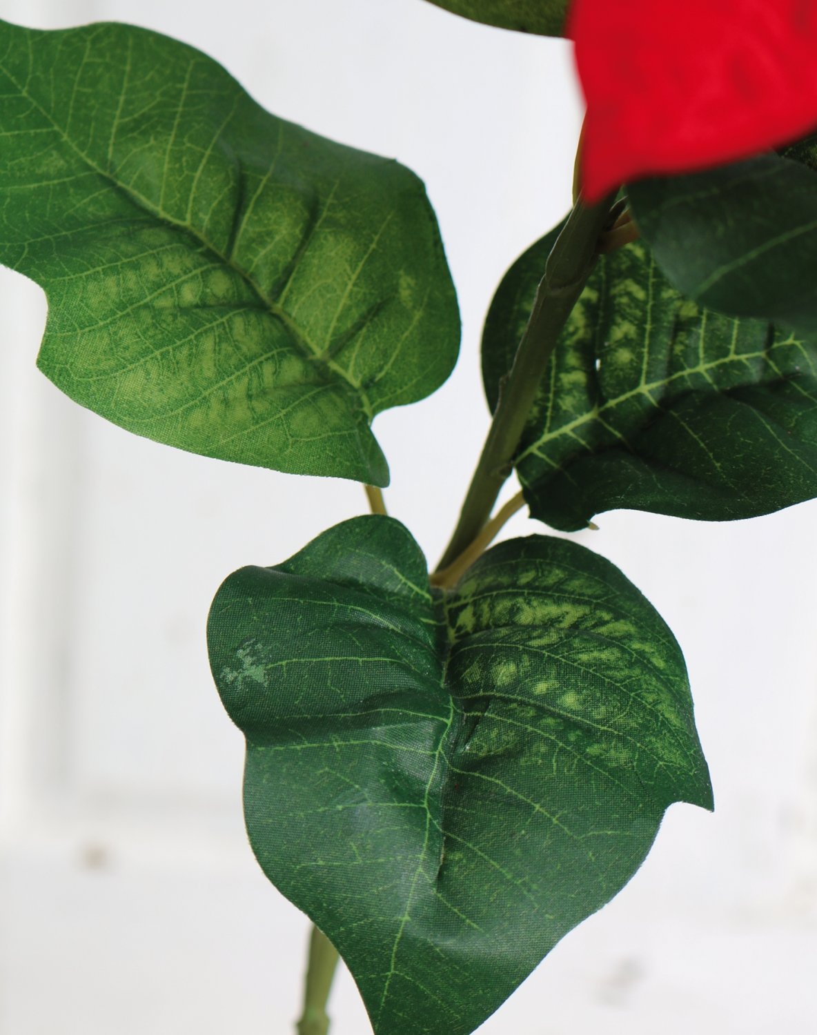 1896 444 a3 Искусственная пуансеттия, 70 см, Ø 21 см, красная H-andreas  - Вид №4