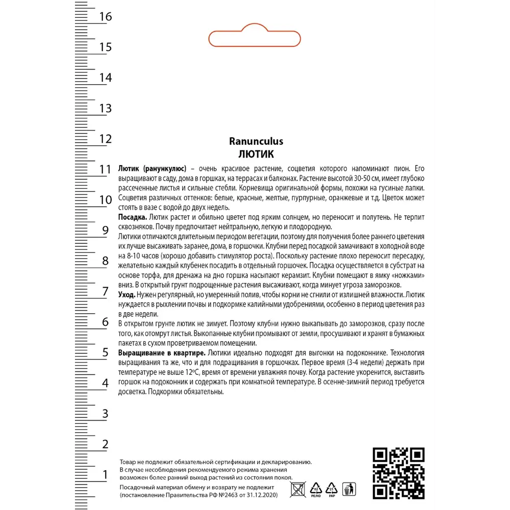 Лютик азиатский Пепл от ПОИСК - фиолетовые полумахровые цветы для сада 89381391 STLM-1564844 - Вид №2