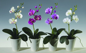 2528 755 a3 Искусственная орхидея Phalaenopsis, горшечная, 40 см, бежево-розовая H-andreas