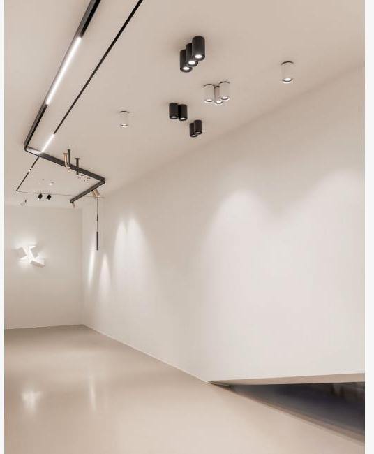 Delta Light Светодиодный потолочный точечный светильник с диммером Link sun-id-1394598 - Вид №8