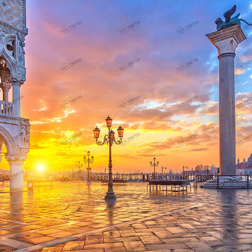 C1-140 Фотообои DIVINO Collection C 2.7х3 м C1140