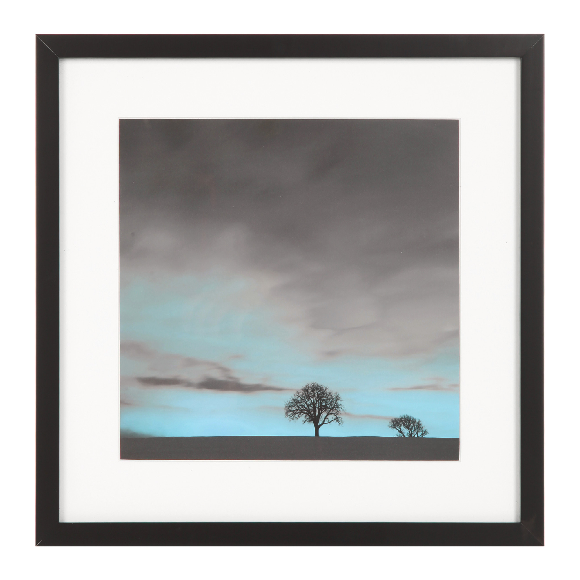 2000983162304 Постер The Lone Tree LA FORMA 