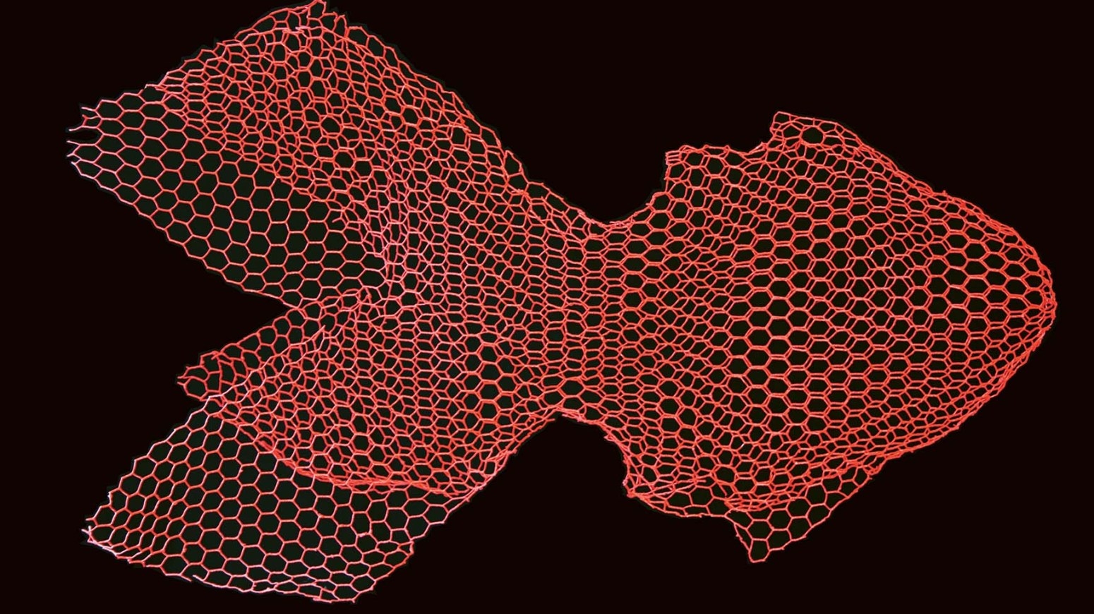 Рыба Magis sun-id-1328980 - Вид №6