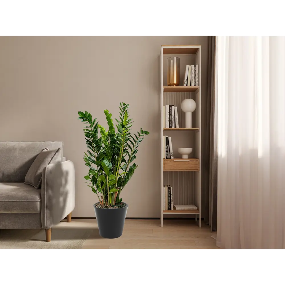 IDI LAND London - Стильное кашпо с колесиками для комнатных растений 83994174 STLM-0045973 - Вид №3