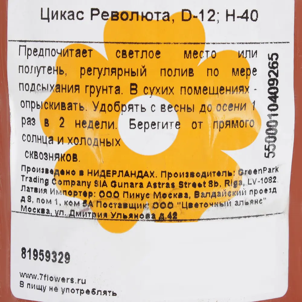 Santreyd Цикас революта — изящный саговник в горшке 81959329 STLM-1446534 - Вид №2