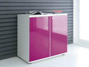 MDD Офисный шкаф с распашными дверцами Gloss