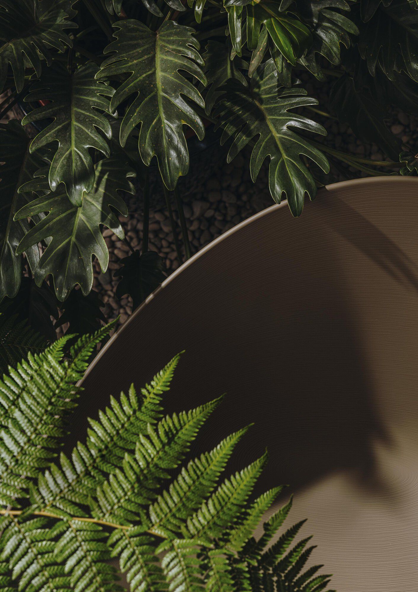 Полипропилен сани стул Arper Adell ARCH-00043224 - Вид №11