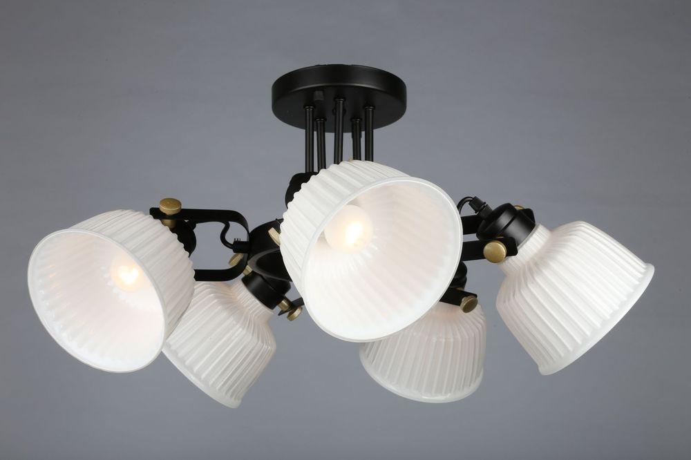 Потолочная люстра Omnilux OML-28207-05 OMNILUX OML-2820 183579 Белый  - Вид №1