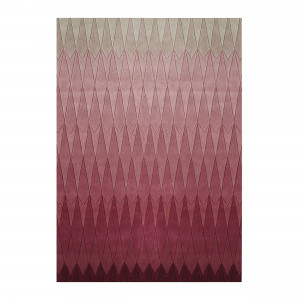 2000983242044 Ковер pink 170/240 LINIE DESIGN Acacia